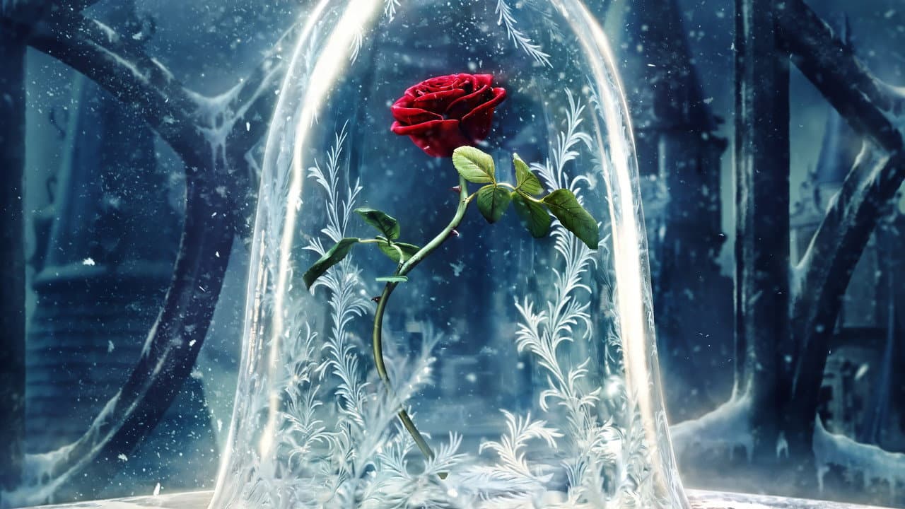 Beauty and the Beast — backdrops 6