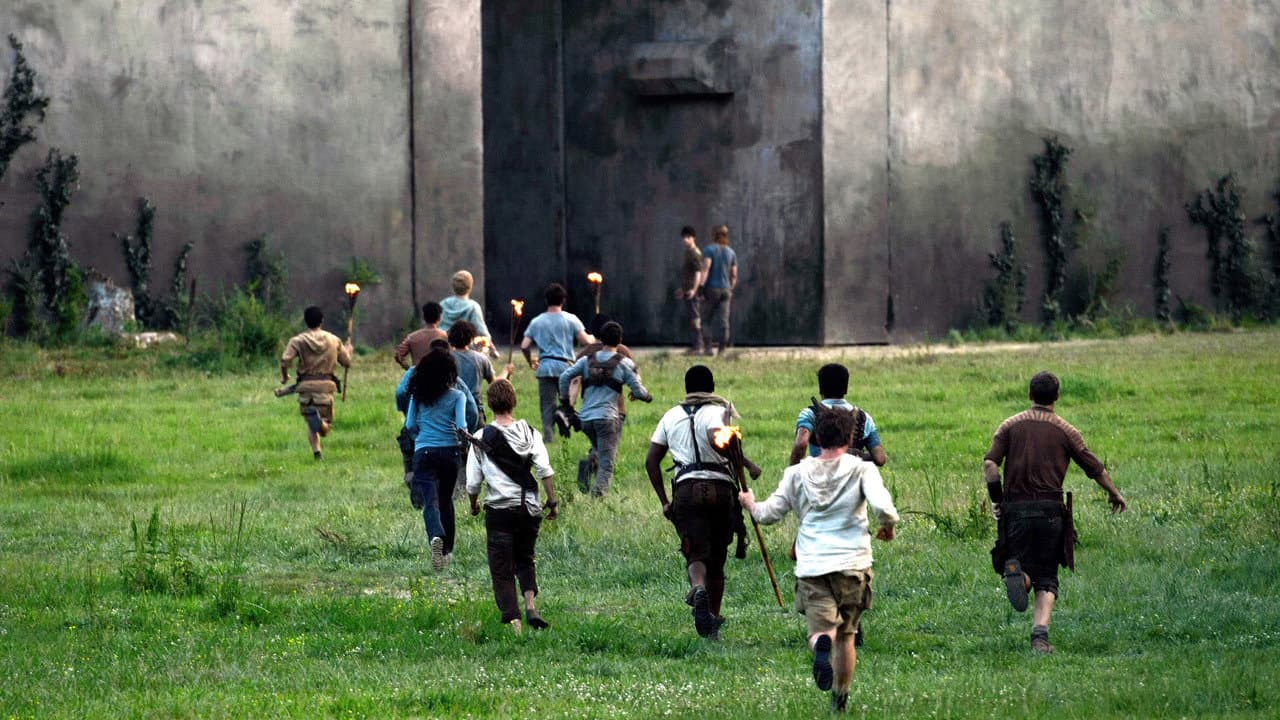 The Maze Runner — backdrops 5