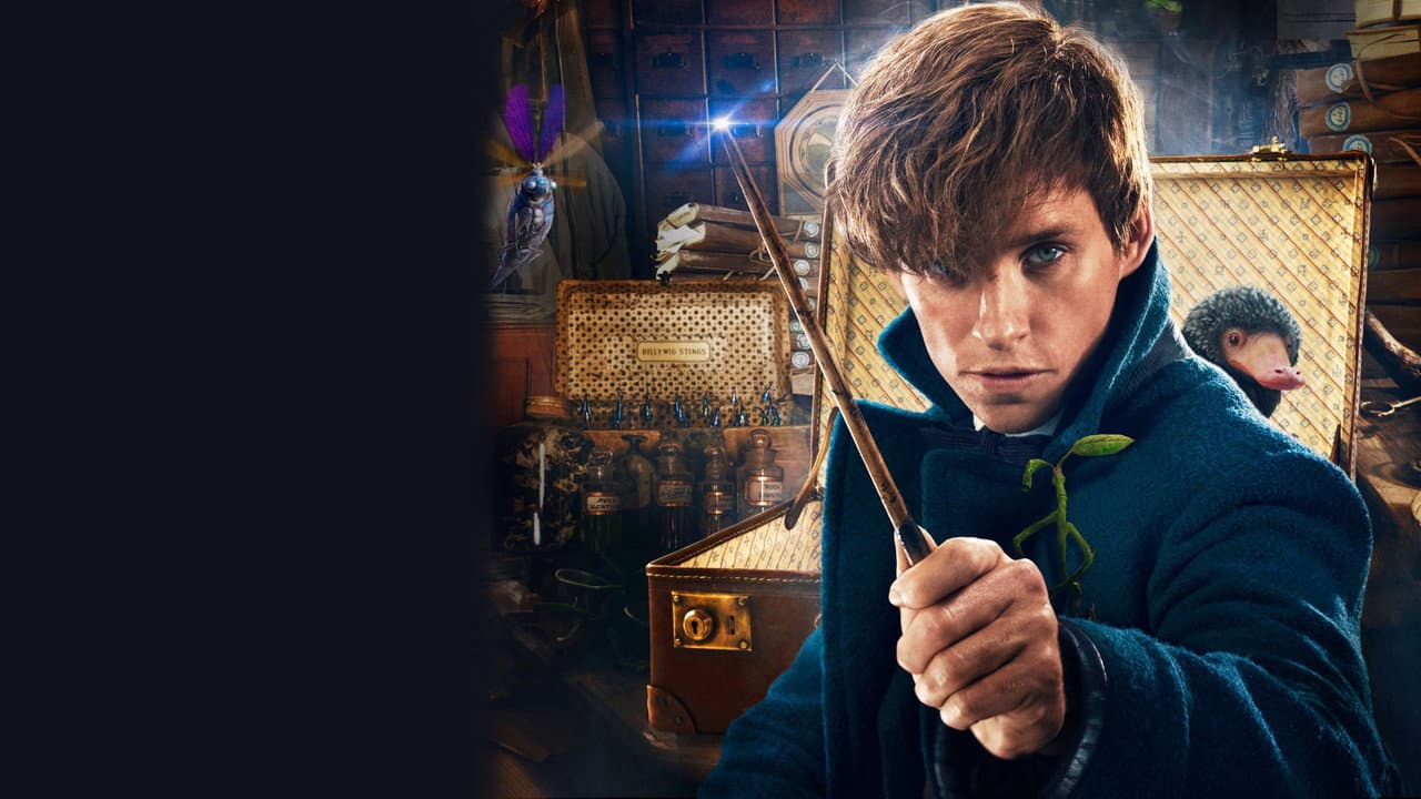 Fantastic Beasts and Where to Find Them — backdrops 4