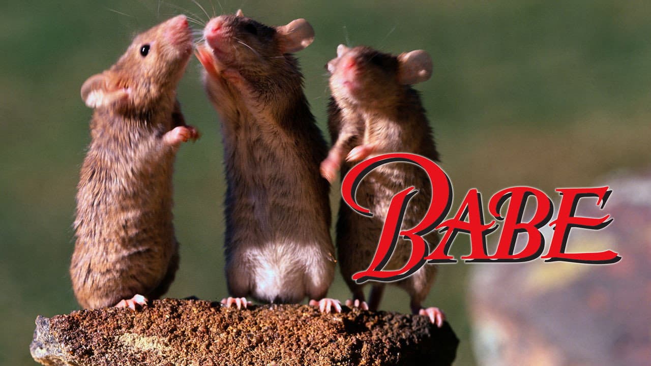 Babe — backdrops with title 7