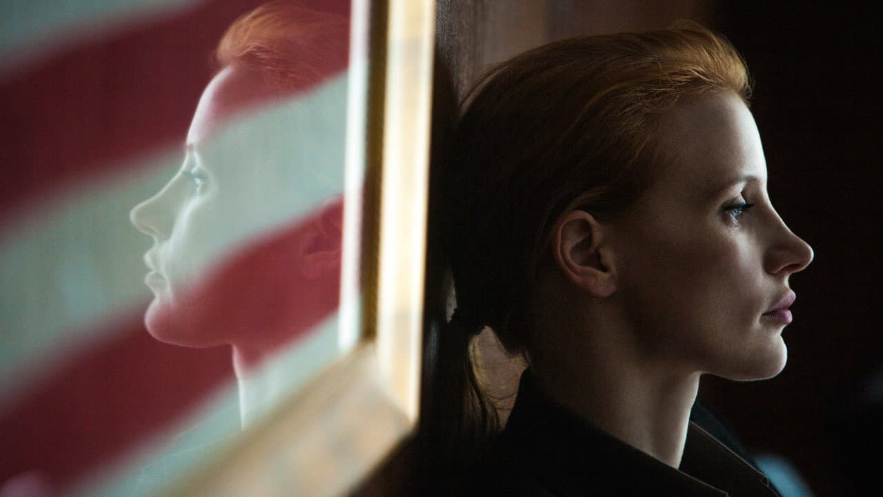 Zero Dark Thirty — backdrops 4