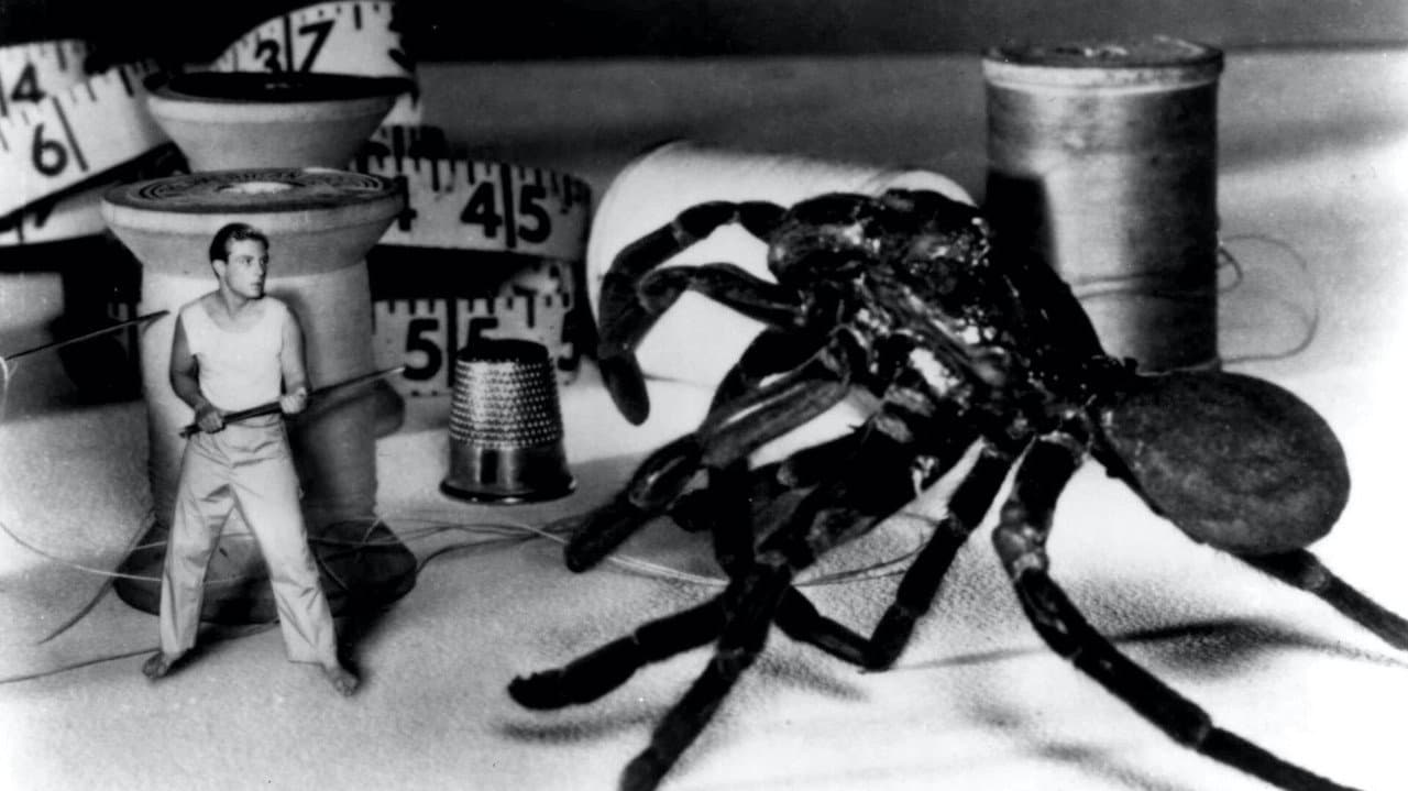 The Incredible Shrinking Man — backdrops 1