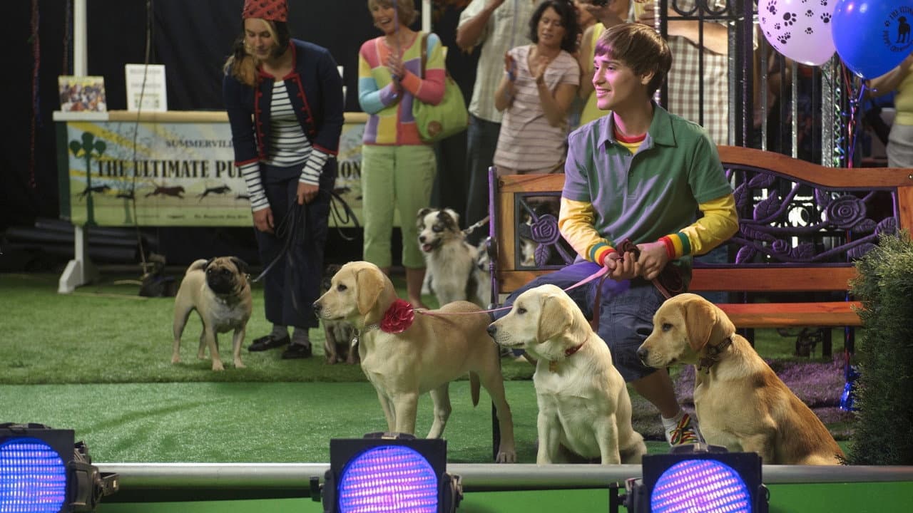Marley & Me: The Puppy Years — backdrops 3