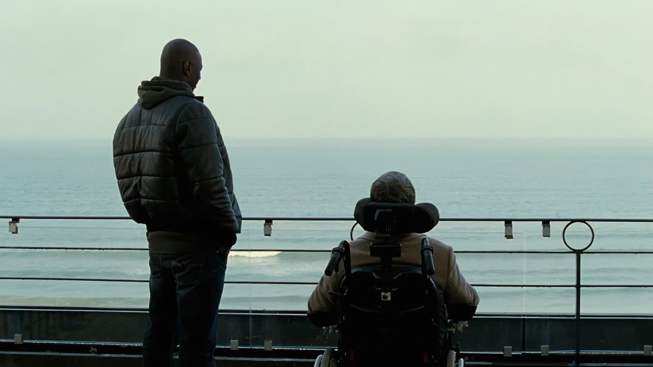 The Intouchables — backdrops 7