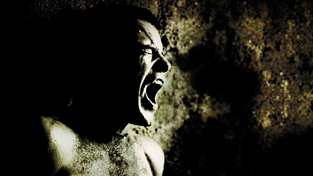 Midnight Express — backdrops 3