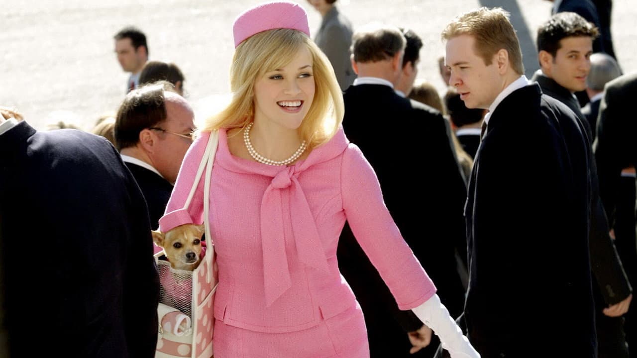 Legally Blonde 2: Red, White & Blonde — backdrops 2