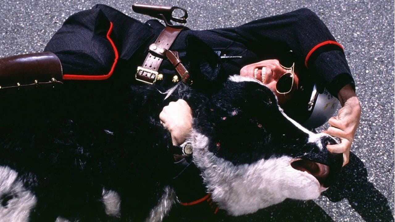Me, Myself & Irene — backdrops 8