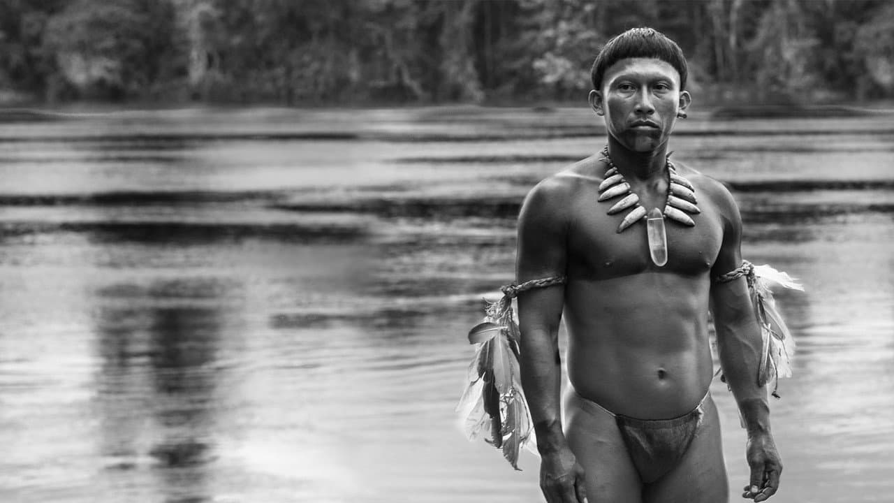 Embrace of the Serpent — backdrops 5