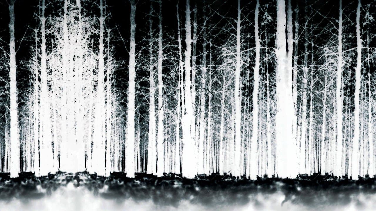 The Blair Witch Project — backdrops 3