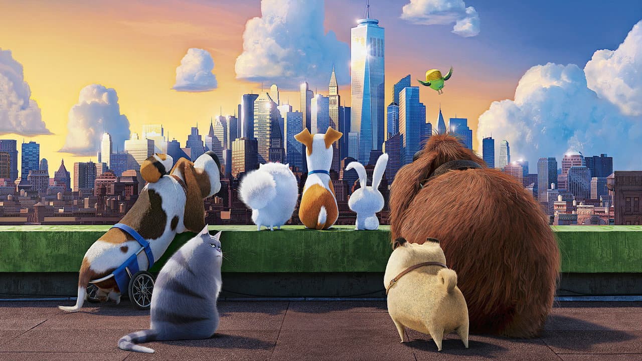 The Secret Life of Pets — backdrops 6