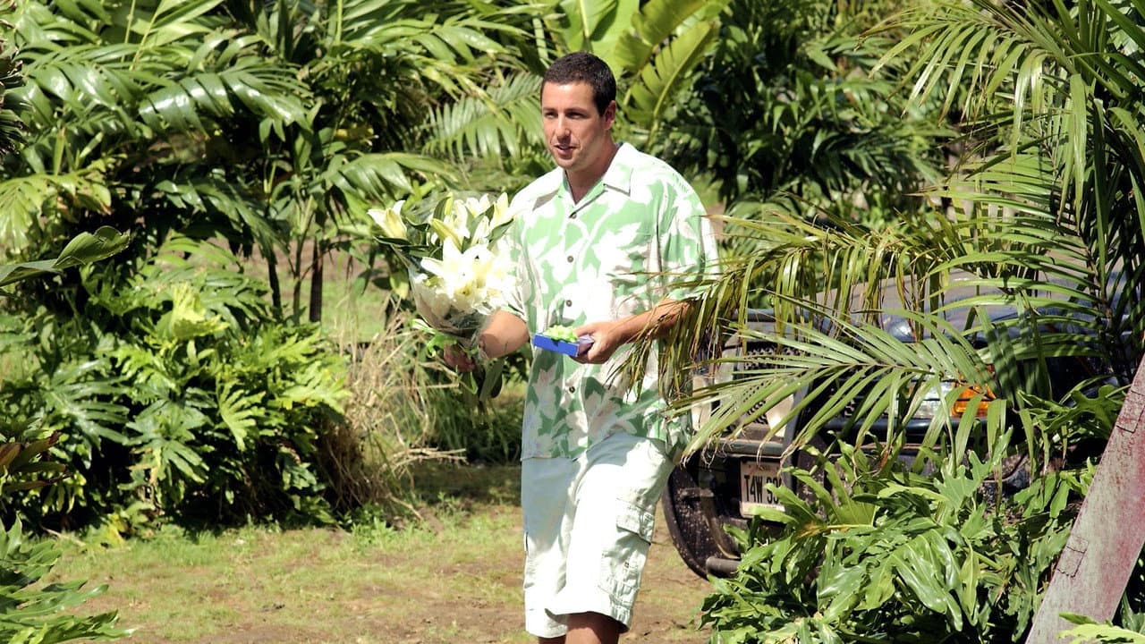 50 First Dates — backdrops 8