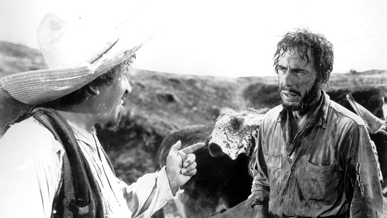 The Treasure of the Sierra Madre — backdrops 3