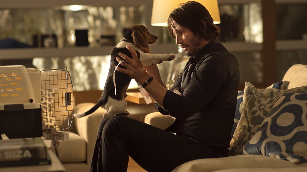 John Wick — backdrops 3