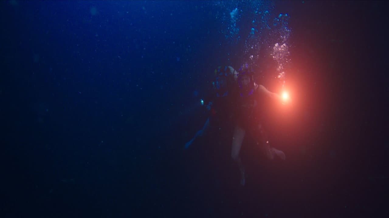 47 Meters Down — backdrops 4