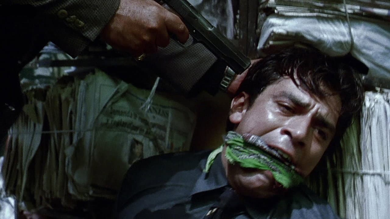 Amores Perros — backdrops 7