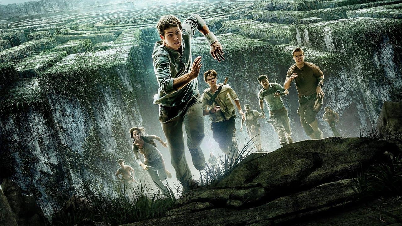 The Maze Runner — backdrops 1