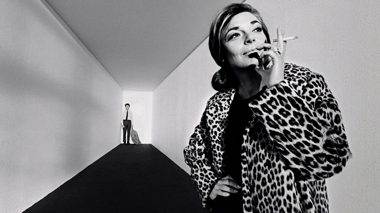 The Graduate — backdrops 7