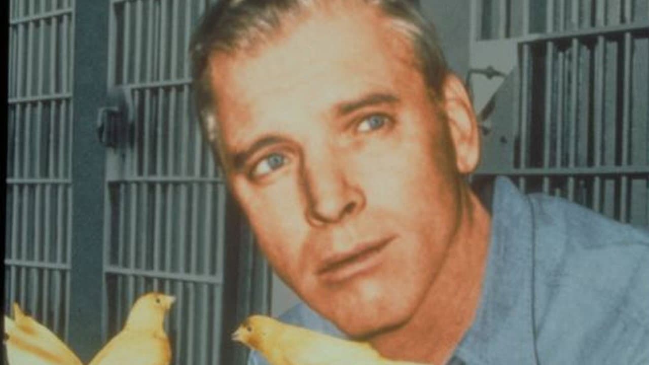 Birdman of Alcatraz — backdrops 5