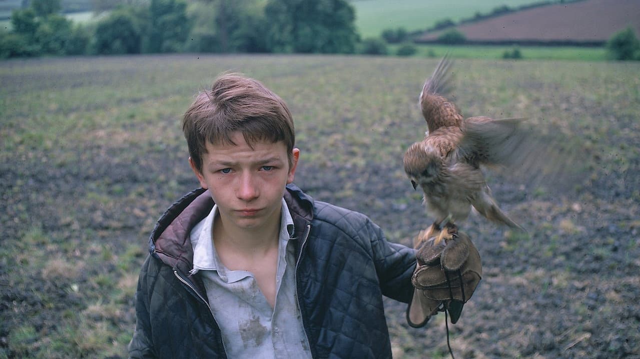 Kes — backdrops 6