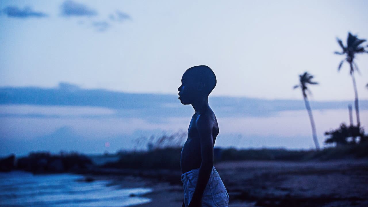 Moonlight — backdrops 6