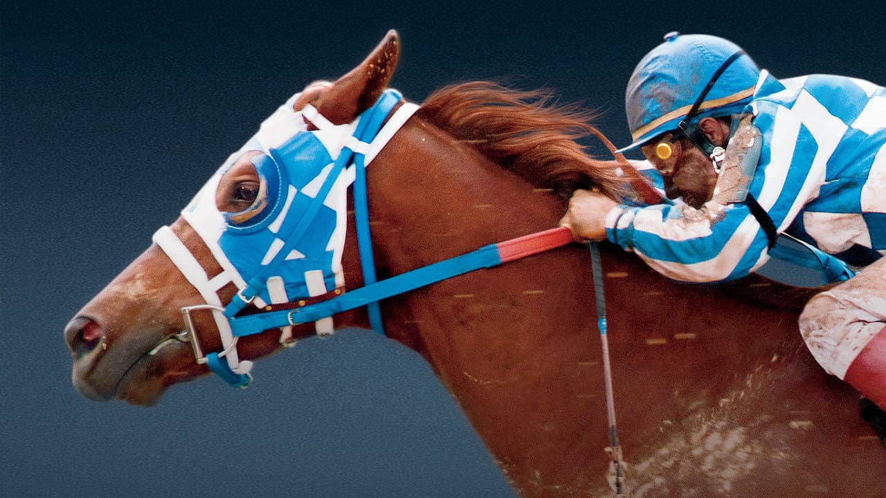 Secretariat — backdrops 4
