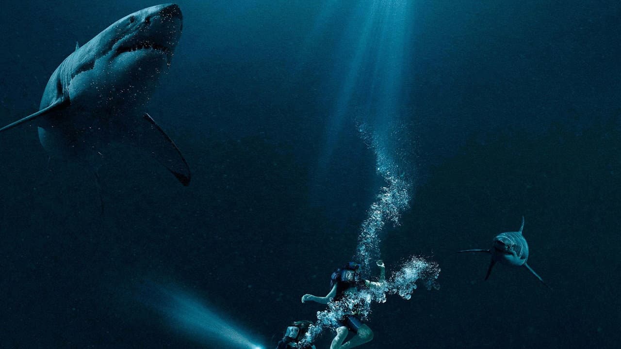 47 Meters Down — backdrops 5
