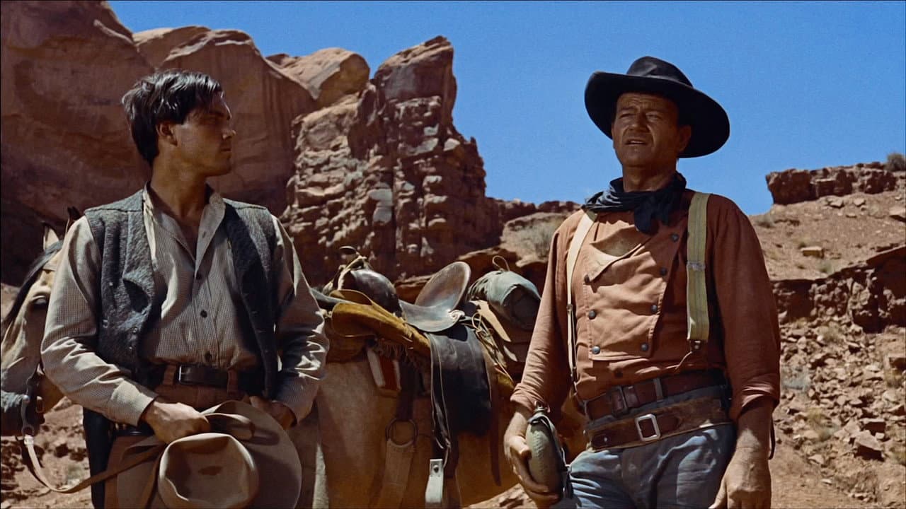 The Searchers — backdrops 1