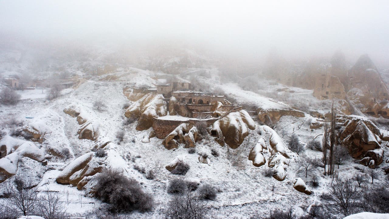 Winter Sleep — backdrops 2