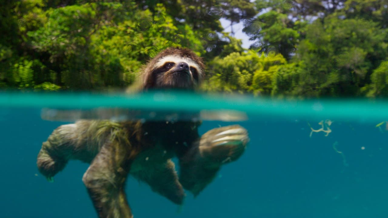 Planet Earth II — backdrops 6