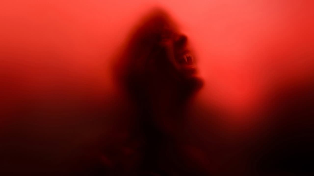 True Blood — backdrops 3
