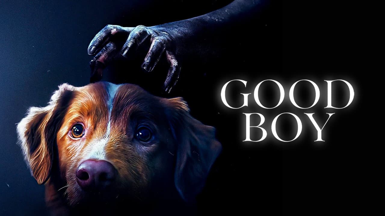Good Boy — backdrops with title 2