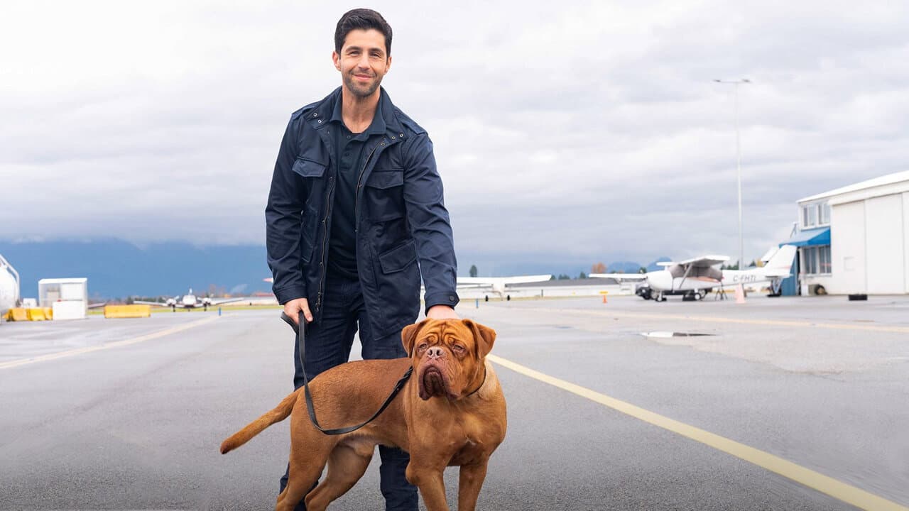 Turner & Hooch — backdrops 5