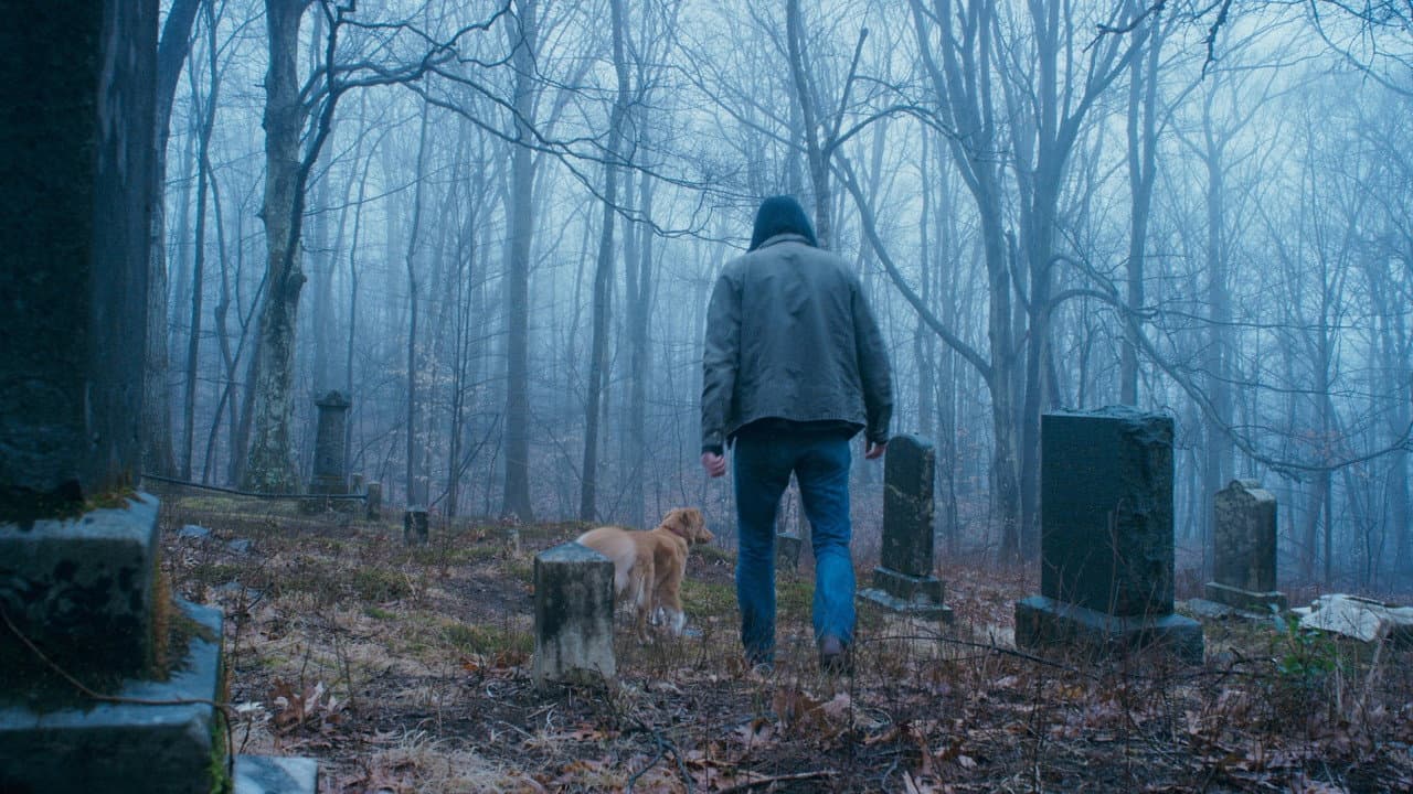 Good Boy — backdrops 5