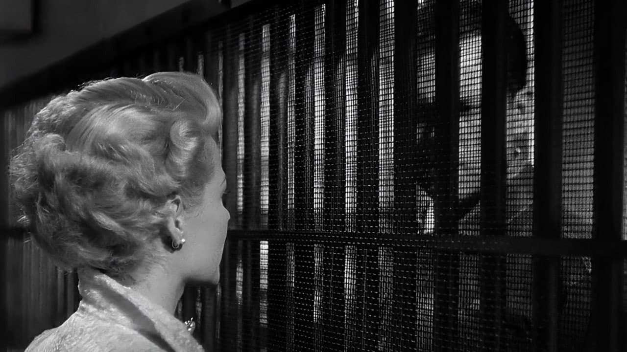 The Lady from Shanghai — backdrops 8