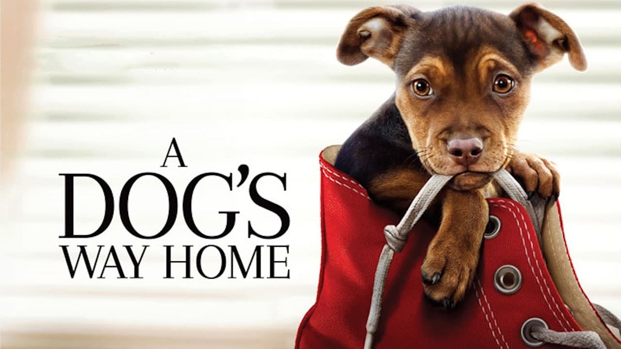 A Dog's Way Home — backdrops with title 4