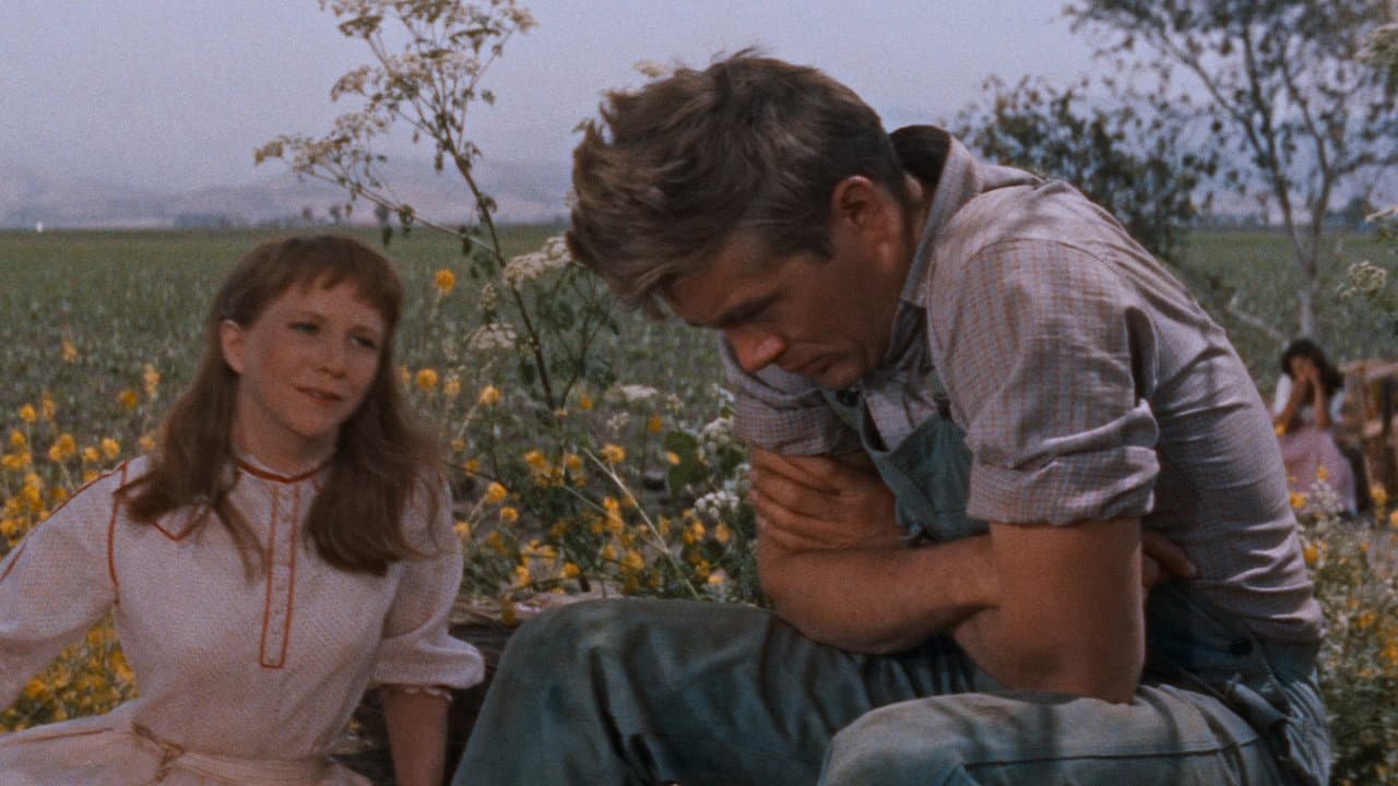 East of Eden — backdrops 5