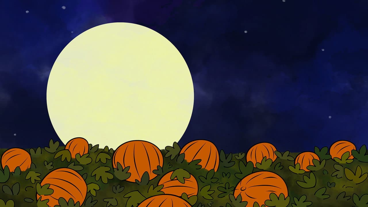 It's the Great Pumpkin, Charlie Brown — backdrops 5
