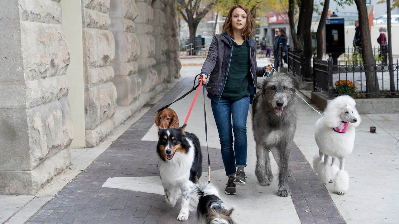 A Dog's Journey — backdrops 1