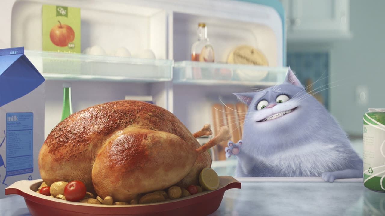 The Secret Life of Pets — backdrops 3