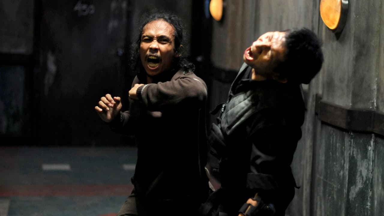 The Raid — backdrops 7