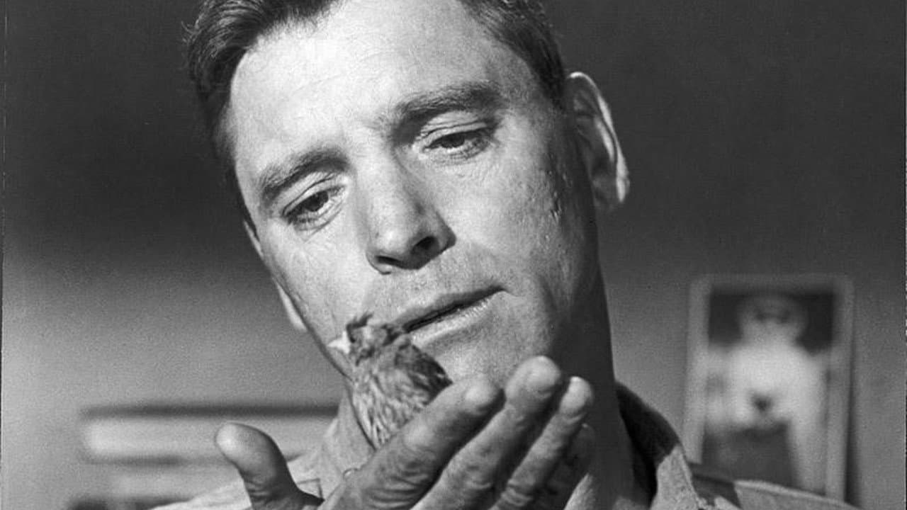 Birdman of Alcatraz — backdrops 6