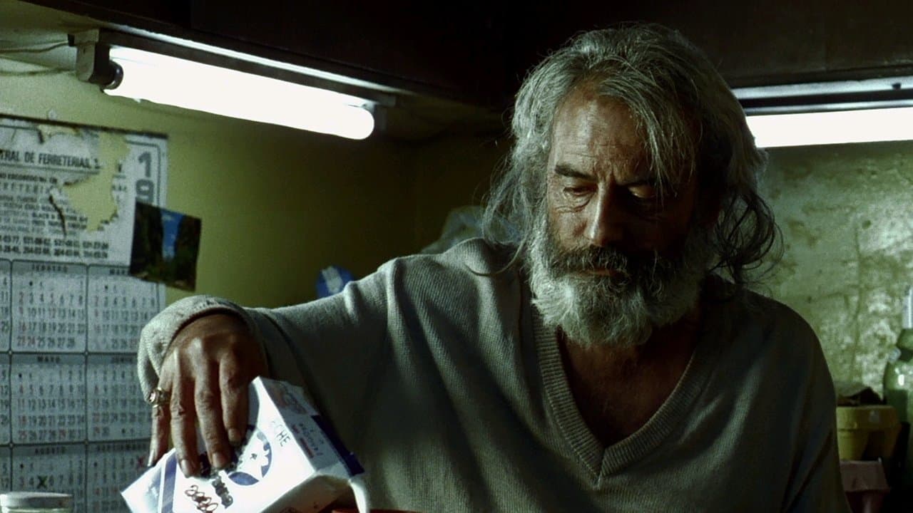 Amores Perros — backdrops 2