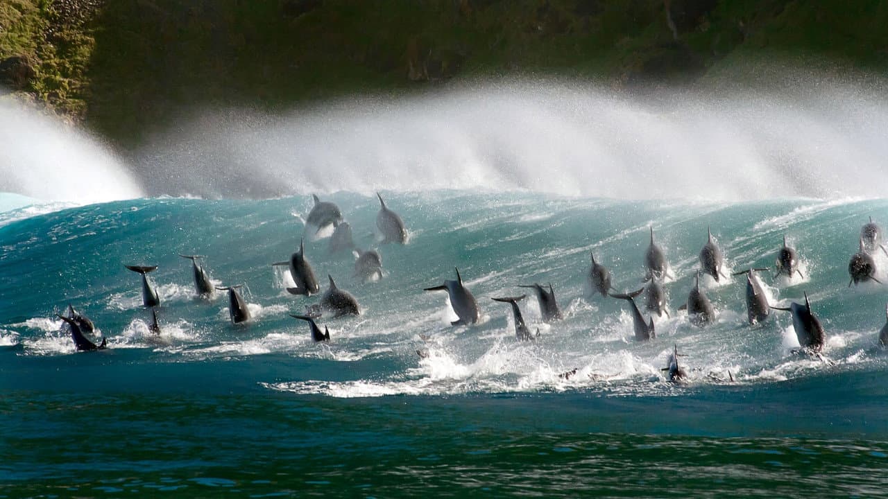Blue Planet II — backdrops 2