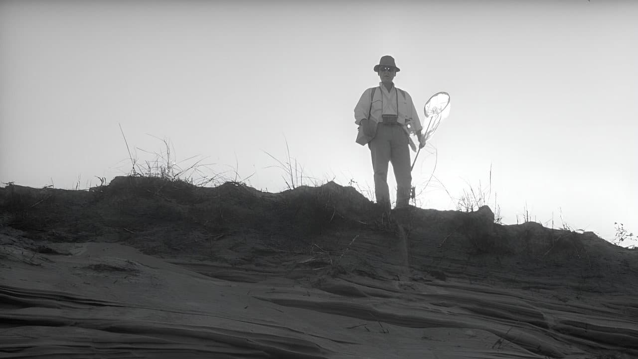 Woman in the Dunes — backdrops 4