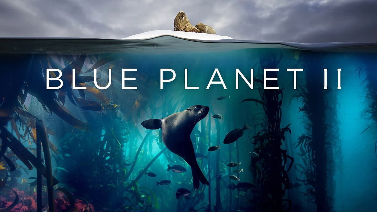 Blue Planet II — backdrops with title 1