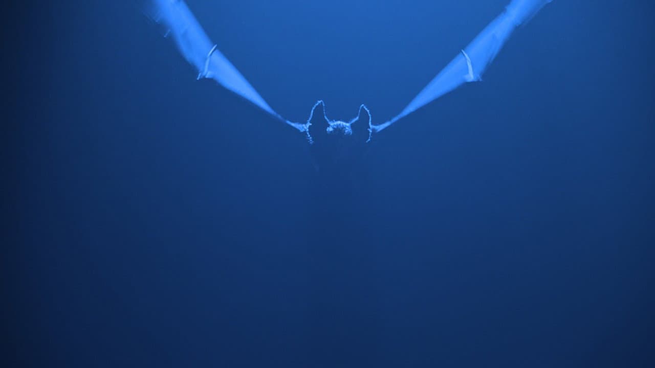 Batman Forever — backdrops 5