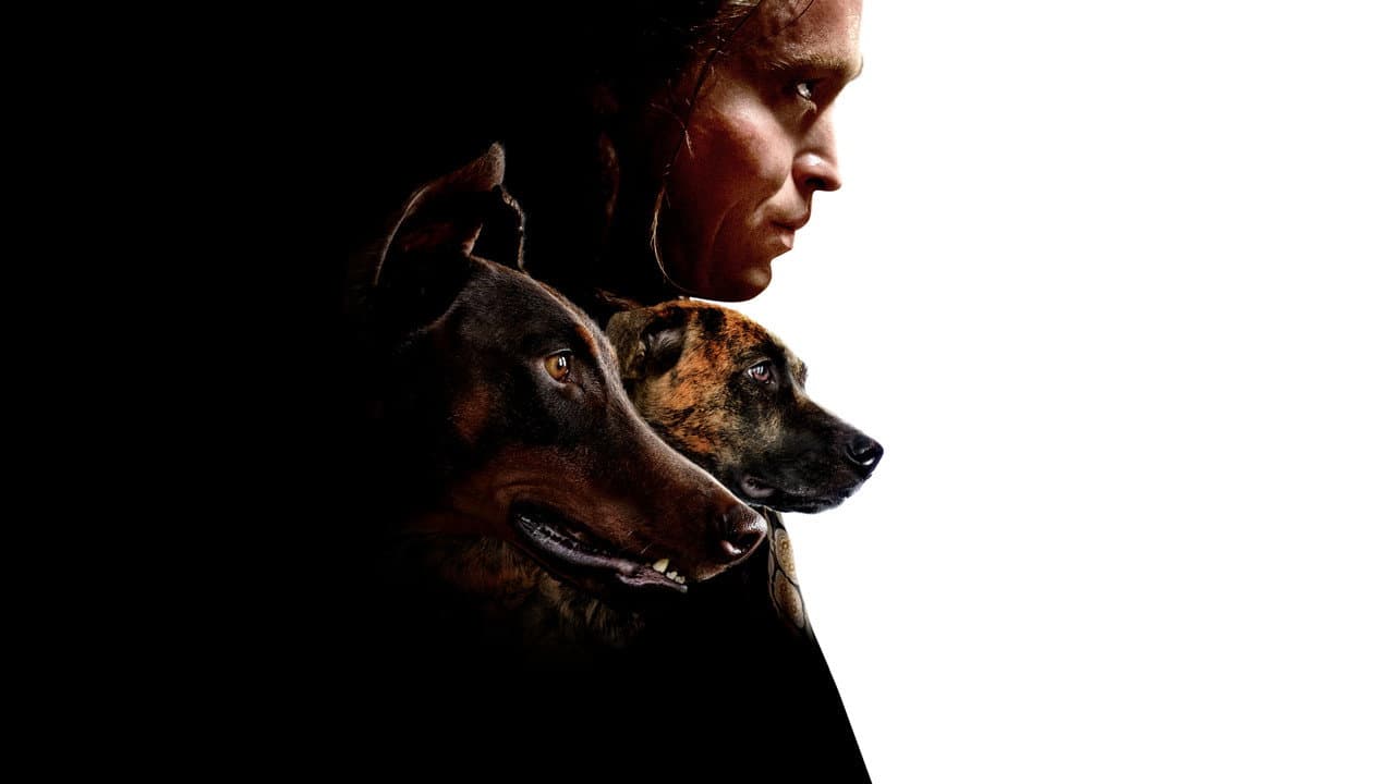 Dogman — backdrops 6