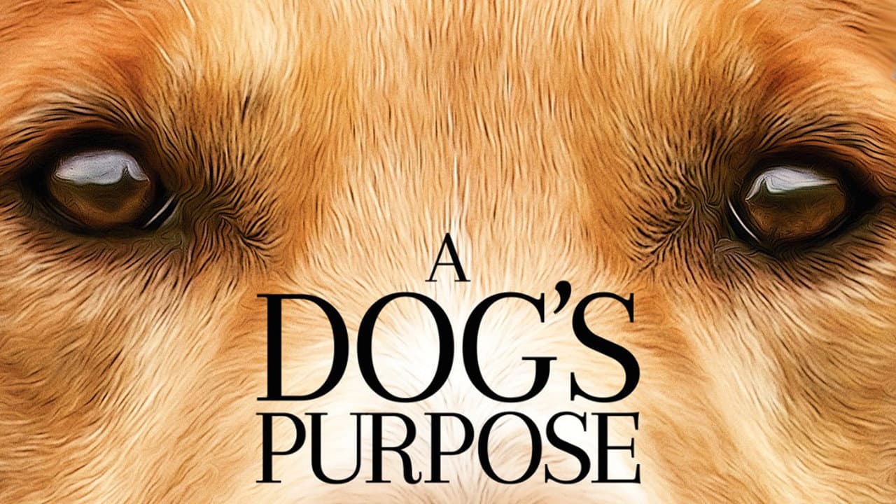 A Dog's Purpose — backdrops with title 1