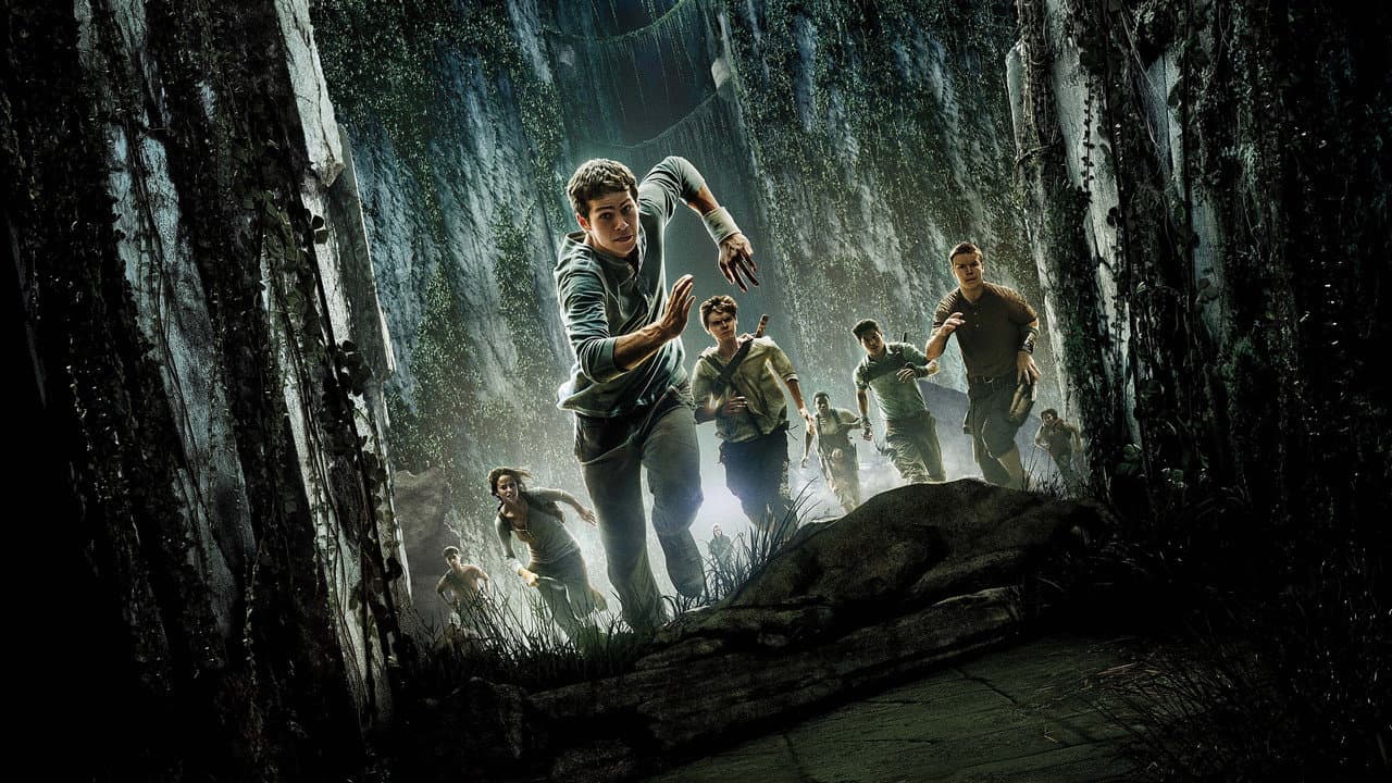 The Maze Runner — backdrops 2