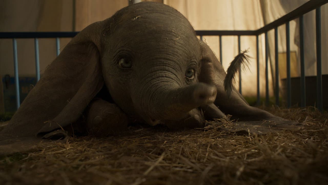 Dumbo — backdrops 7